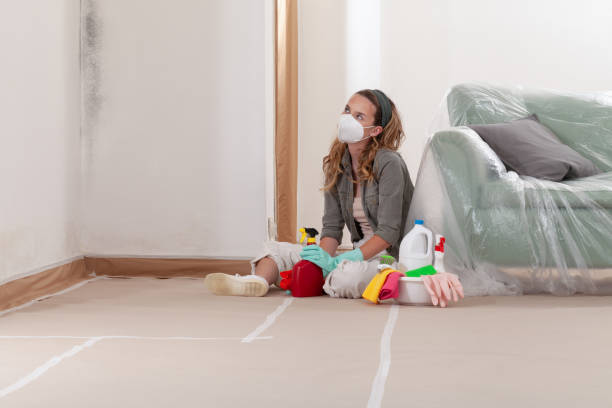 Reliable Black Mold Remediation contractor in Uniondale, NY by Mold Remediation HQ